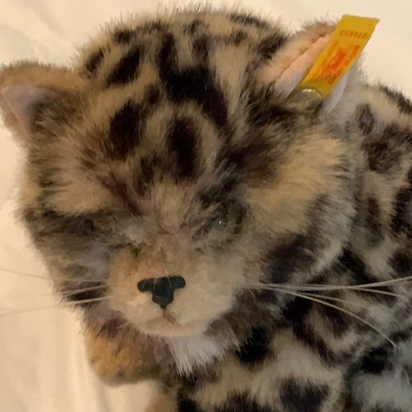 Steiff- Vintage -Cat-Jungkatze 16- 074813- Button in Ear- Perfect Condition - Picture 5 of 11
